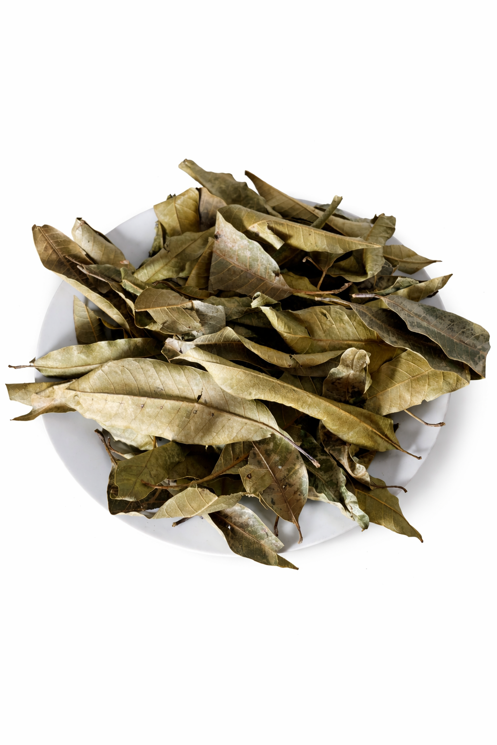 Organic Dried Mango Leaves – Wholesale Bulk 200g / 500g / 1kg / 5kg