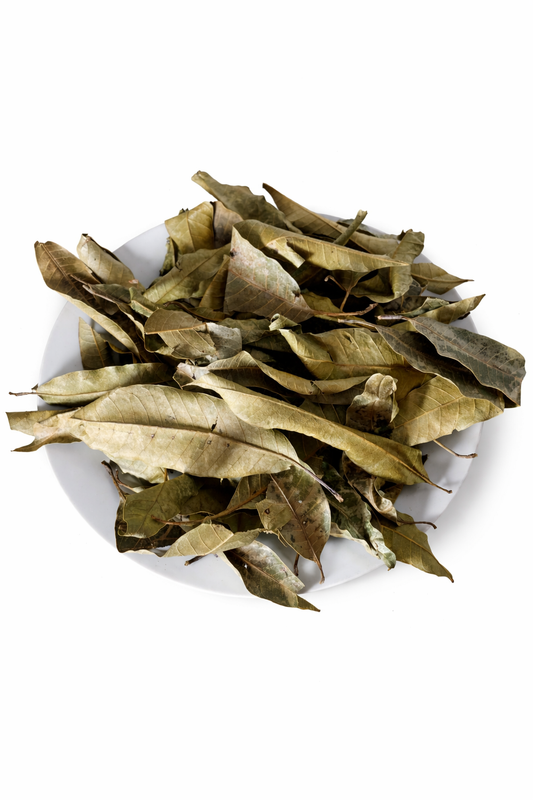 Organic Dried Mango Leaves – Wholesale Bulk 200g / 500g / 1kg / 5kg