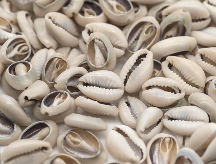 OWO EYO(COWRIE SHELLS)
