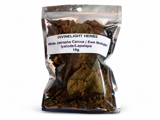 Ewe Lapalapa Funfun – Spiritual Herb for Ritual & Cleansing