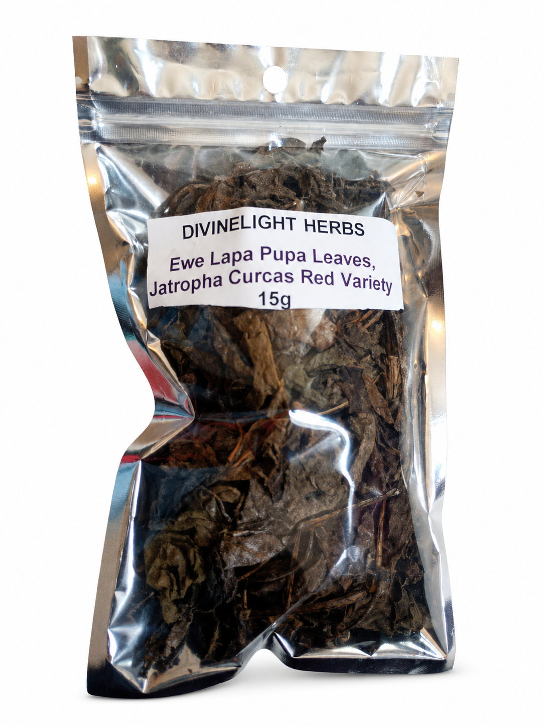 Jatropha Curcas Leaves: Ewe Lapa Lapa Pupa Leaf Red Variety, Spiritual Cleansing Red Variety, Spiritual Cleansing