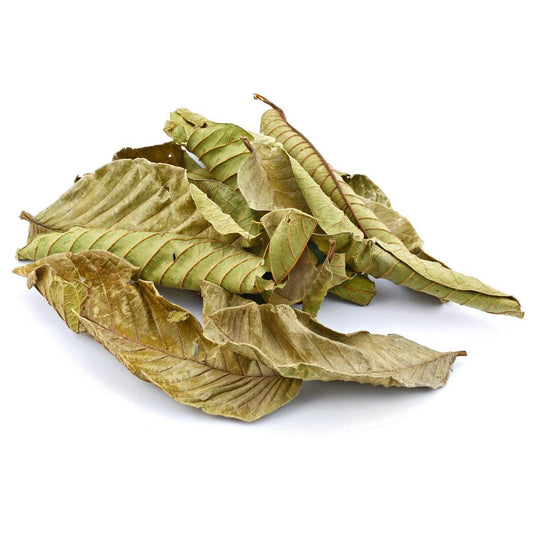 🌿 Guava Leaves – Natural Healing & Spiritual Cleansing 30pics