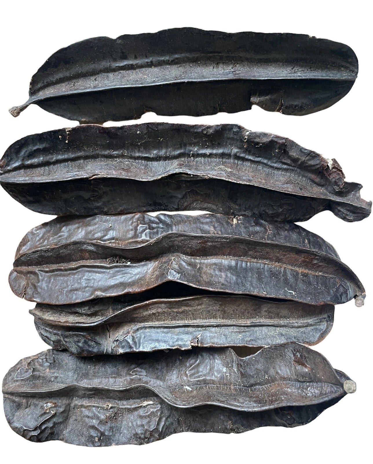 🌿 4pcs Organic Prekese Pods (Tetrapleura Tetraptera / Aidan / Uyayak / Uhiokrihio)