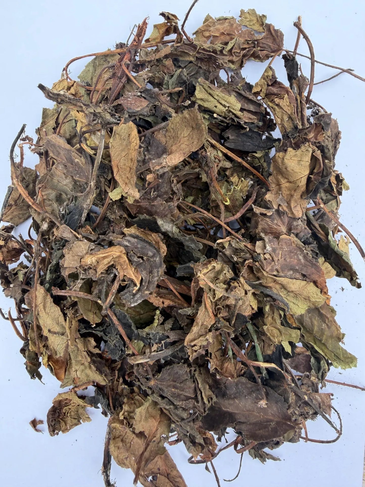 Jatropha Curcas Leaves: Ewe Lapa Lapa Pupa Leaf Red Variety, Spiritual Cleansing Red Variety, Spiritual Cleansing