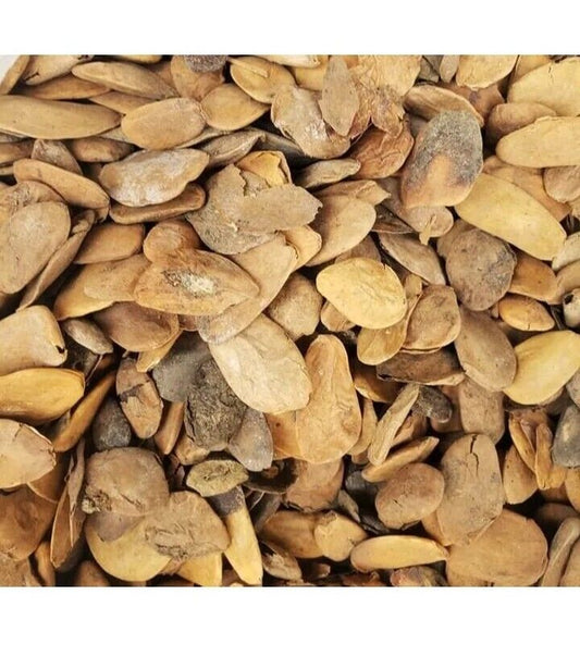 Pure Organic Abeere Seeds [Hunteria Umbellata]