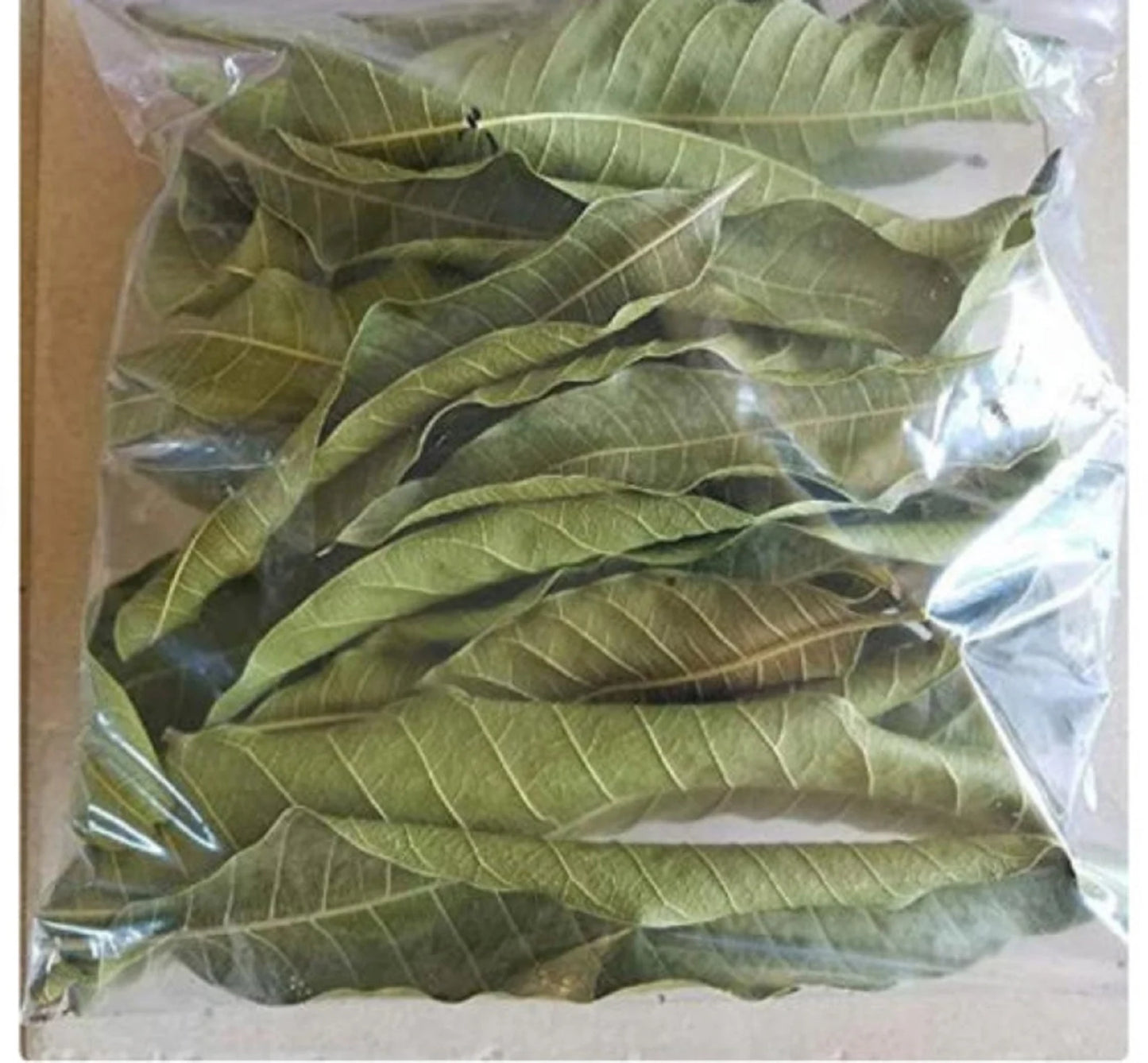 Dried Mango Leaves Quality 100% ORGANIC Herbal Natural Fresh Mango Leaf