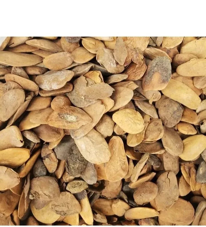 🌿 Pure Organic Abere Seeds (Hunteria Umbellata) – 20 g